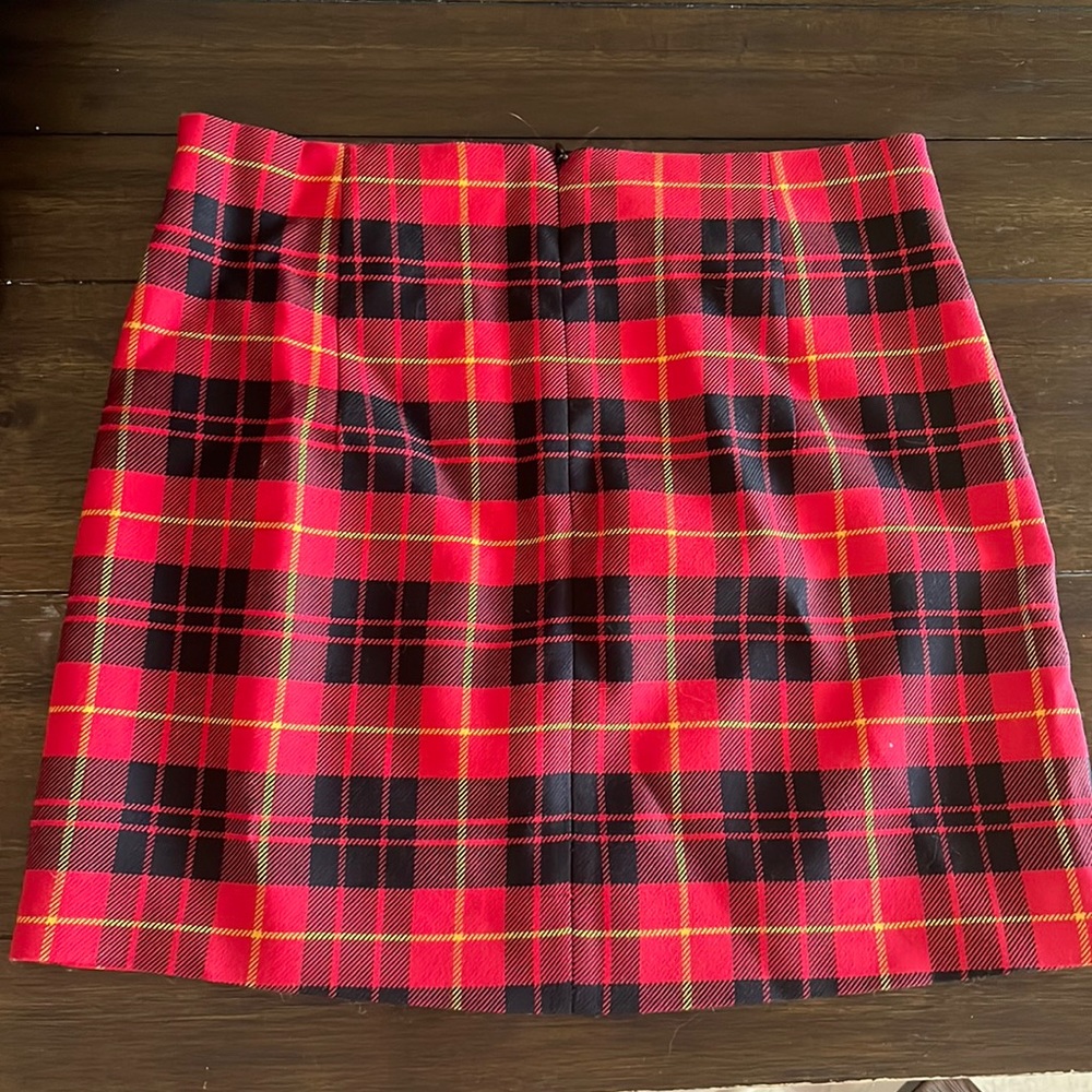 Zara Skirt